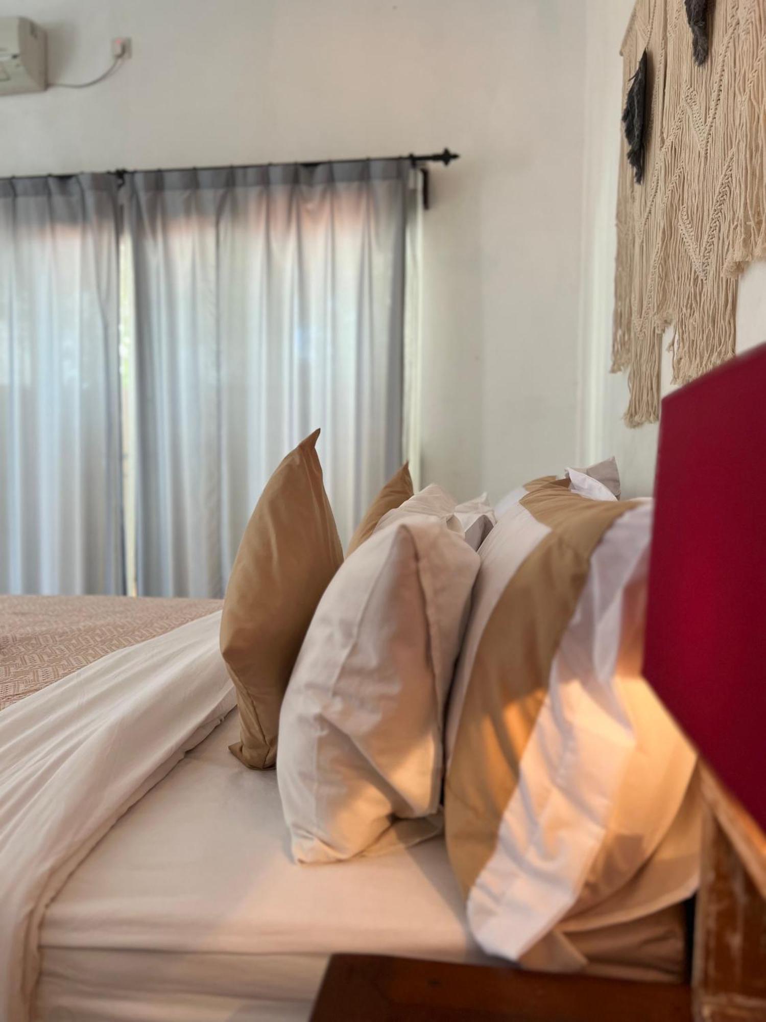 Grass Terrace Homestay تْشانغو المظهر الخارجي الصورة