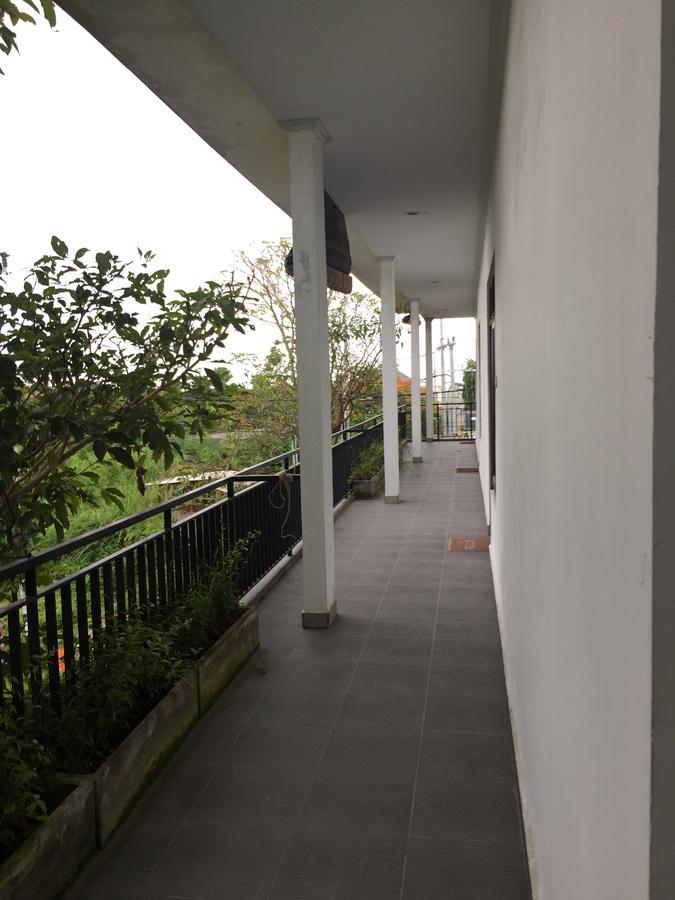 Grass Terrace Homestay تْشانغو المظهر الخارجي الصورة